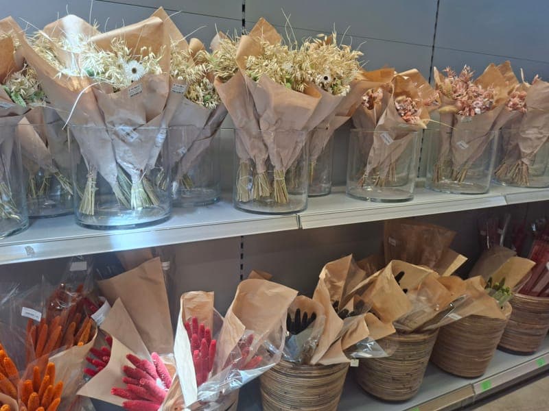 Droogbloemen & Boho (1)