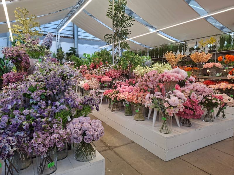 Botanisch Atelier (1)