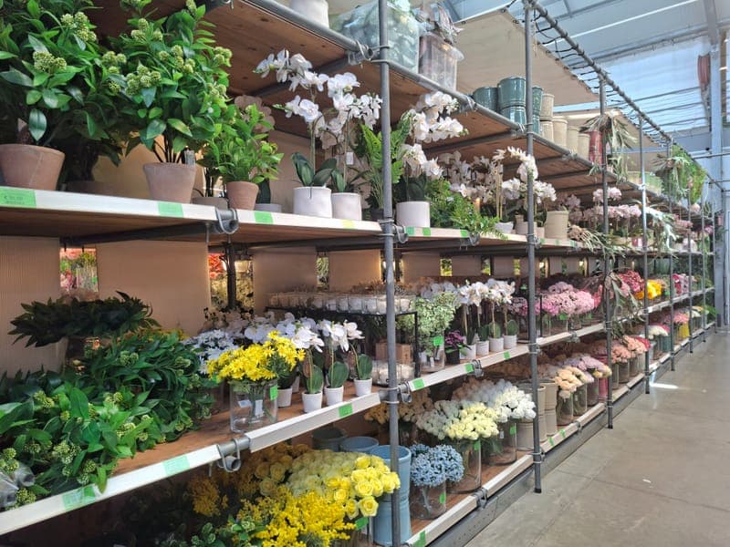 Botanisch Atelier (2)